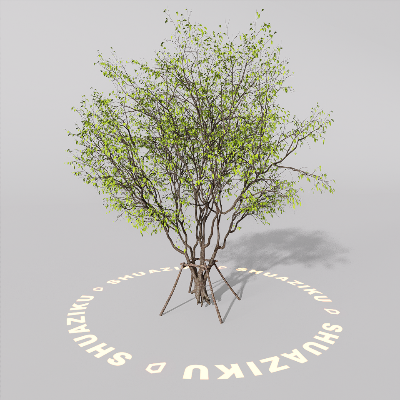 图片[17]-D5室外绿植树木模型20个-刷子库