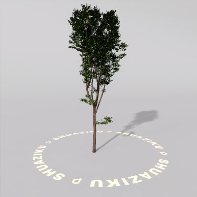 图片[1]-D5室外绿植树木模型20个-刷子库