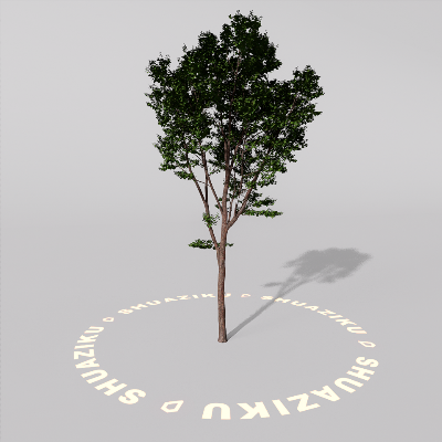 图片[5]-D5室外绿植树木模型20个-刷子库