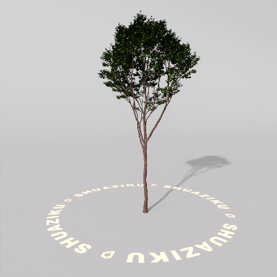 图片[4]-D5室外绿植树木模型20个-刷子库