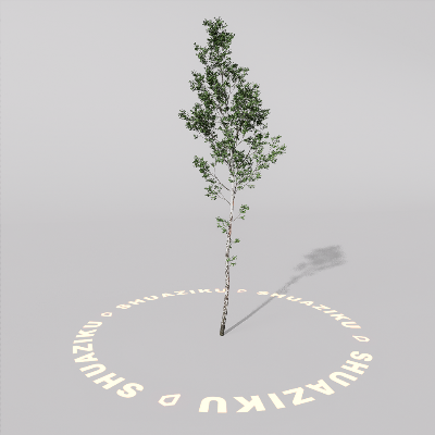 图片[6]-D5室外绿植树木模型20个-刷子库