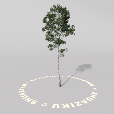 图片[7]-D5室外绿植树木模型20个-刷子库