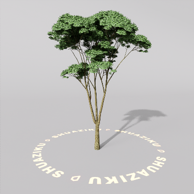 图片[9]-D5室外绿植树木模型20个-刷子库