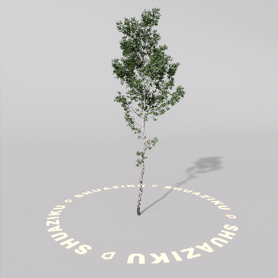 图片[8]-D5室外绿植树木模型20个-刷子库