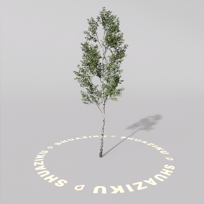 图片[10]-D5室外绿植树木模型20个-刷子库