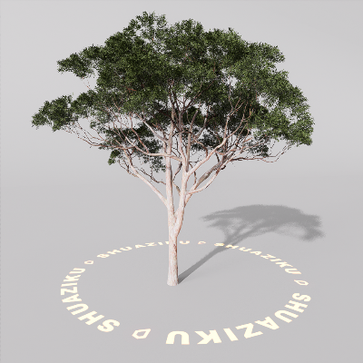 图片[11]-D5室外绿植树木模型20个-刷子库