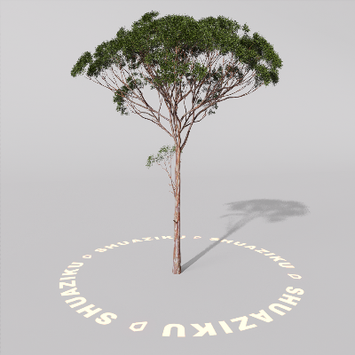 图片[12]-D5室外绿植树木模型20个-刷子库