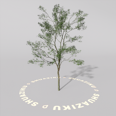 图片[14]-D5室外绿植树木模型20个-刷子库