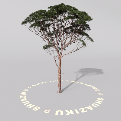 图片[13]-D5室外绿植树木模型20个-刷子库