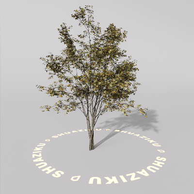 图片[16]-D5室外绿植树木模型20个-刷子库