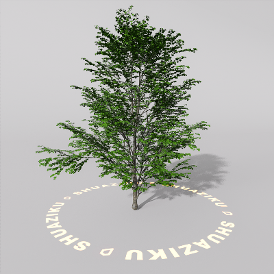 图片[15]-D5室外绿植树木模型20个-刷子库