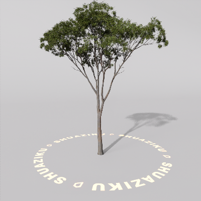 图片[18]-D5室外绿植树木模型20个-刷子库