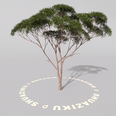 图片[19]-D5室外绿植树木模型20个-刷子库