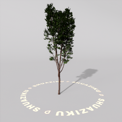 图片[20]-D5室外绿植树木模型20个-刷子库