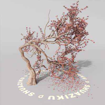 图片[4]-D5室外绿植树木模型20个-刷子库