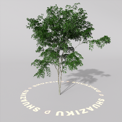 图片[7]-D5室外绿植树木模型20个-刷子库