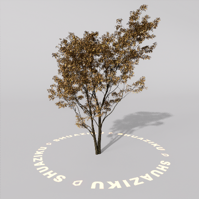 图片[10]-D5室外绿植树木模型20个-刷子库