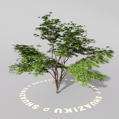 图片[16]-D5室外绿植树木模型20个-刷子库