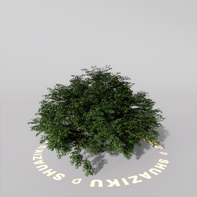 图片[1]-D5室外绿植树木模型20个-刷子库