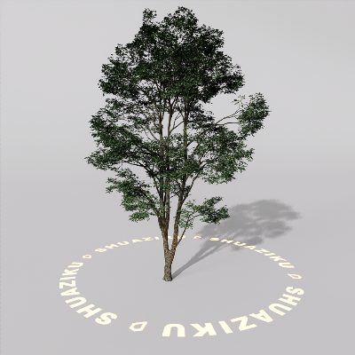 图片[3]-D5室外绿植树木模型20个-刷子库