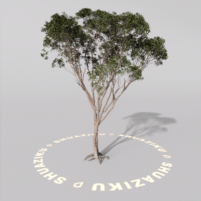 图片[2]-D5室外绿植树木模型20个-刷子库