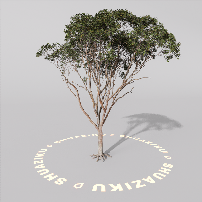 图片[4]-D5室外绿植树木模型20个-刷子库