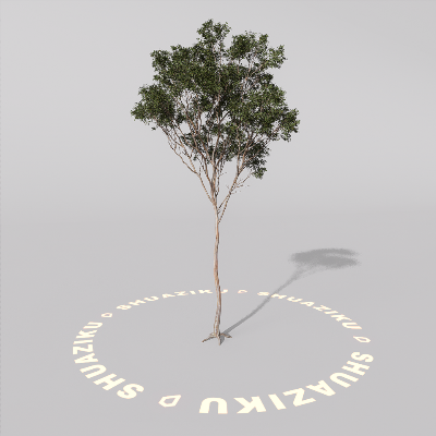 图片[5]-D5室外绿植树木模型20个-刷子库