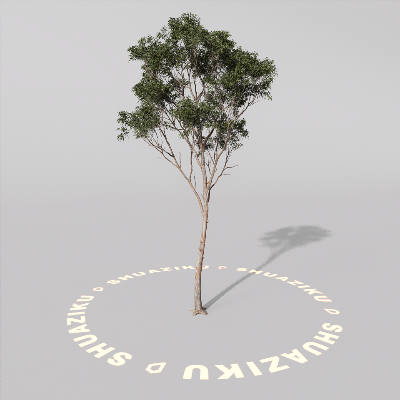 图片[6]-D5室外绿植树木模型20个-刷子库