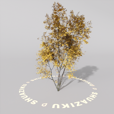 图片[7]-D5室外绿植树木模型20个-刷子库