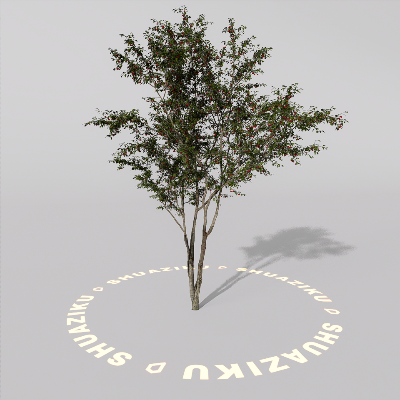 图片[9]-D5室外绿植树木模型20个-刷子库