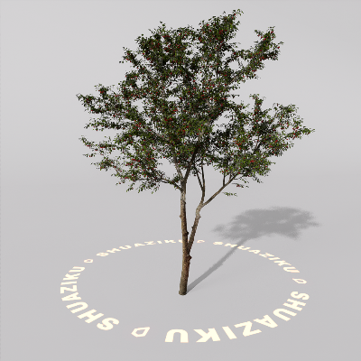 图片[10]-D5室外绿植树木模型20个-刷子库