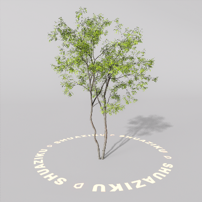 图片[11]-D5室外绿植树木模型20个-刷子库