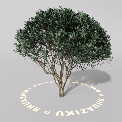 图片[12]-D5室外绿植树木模型20个-刷子库