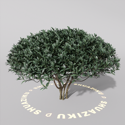 图片[13]-D5室外绿植树木模型20个-刷子库