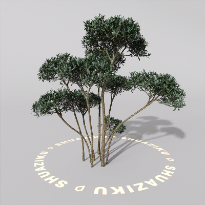 图片[14]-D5室外绿植树木模型20个-刷子库