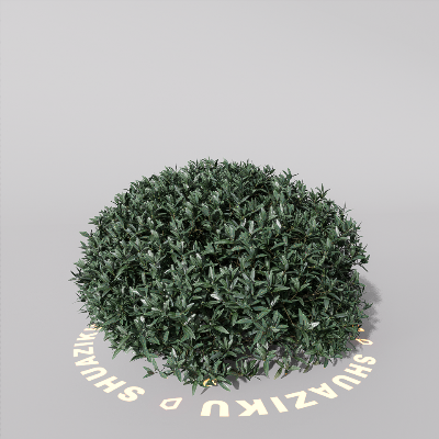 图片[15]-D5室外绿植树木模型20个-刷子库