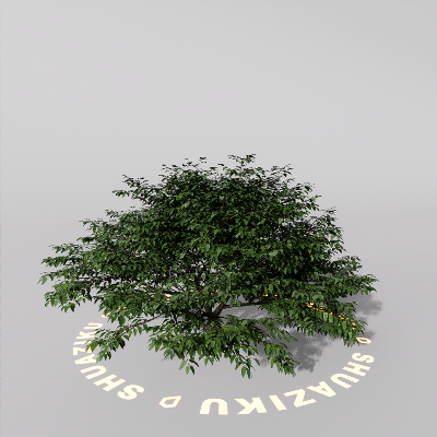 图片[18]-D5室外绿植树木模型20个-刷子库