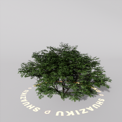 图片[19]-D5室外绿植树木模型20个-刷子库