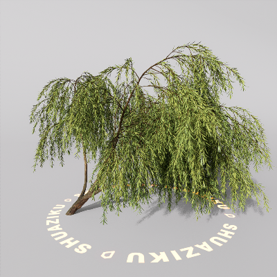 图片[1]-D5室外绿植树木模型20个-刷子库