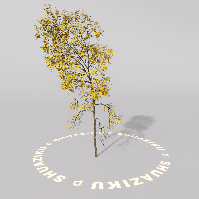 图片[10]-D5室外绿植树木模型20个-刷子库