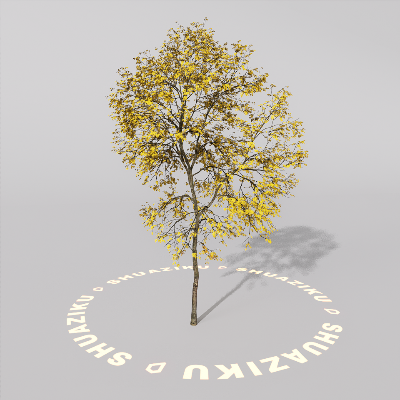 图片[12]-D5室外绿植树木模型20个-刷子库