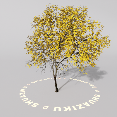 图片[11]-D5室外绿植树木模型20个-刷子库