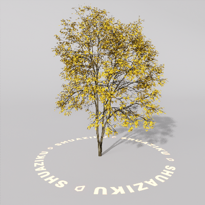 图片[13]-D5室外绿植树木模型20个-刷子库