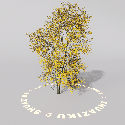 图片[14]-D5室外绿植树木模型20个-刷子库