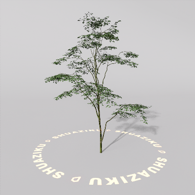 图片[16]-D5室外绿植树木模型20个-刷子库