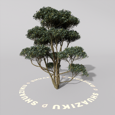 图片[17]-D5室外绿植树木模型20个-刷子库