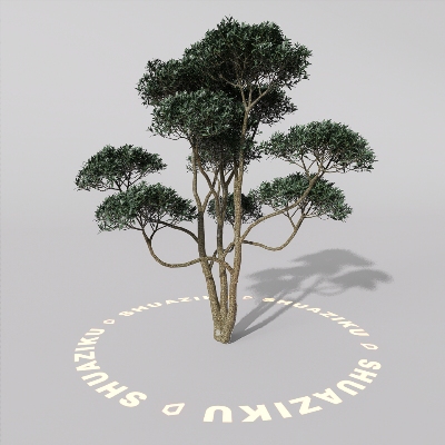 图片[18]-D5室外绿植树木模型20个-刷子库