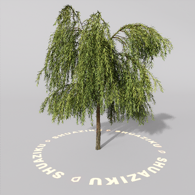 图片[19]-D5室外绿植树木模型20个-刷子库