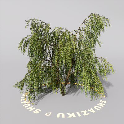 图片[20]-D5室外绿植树木模型20个-刷子库