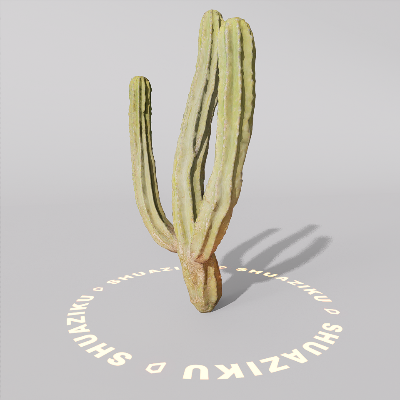 图片[5]-D5仙人掌模型-刷子库